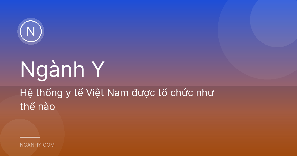 Hệ thống y tế Việt Nam được tổ chức như thế nào