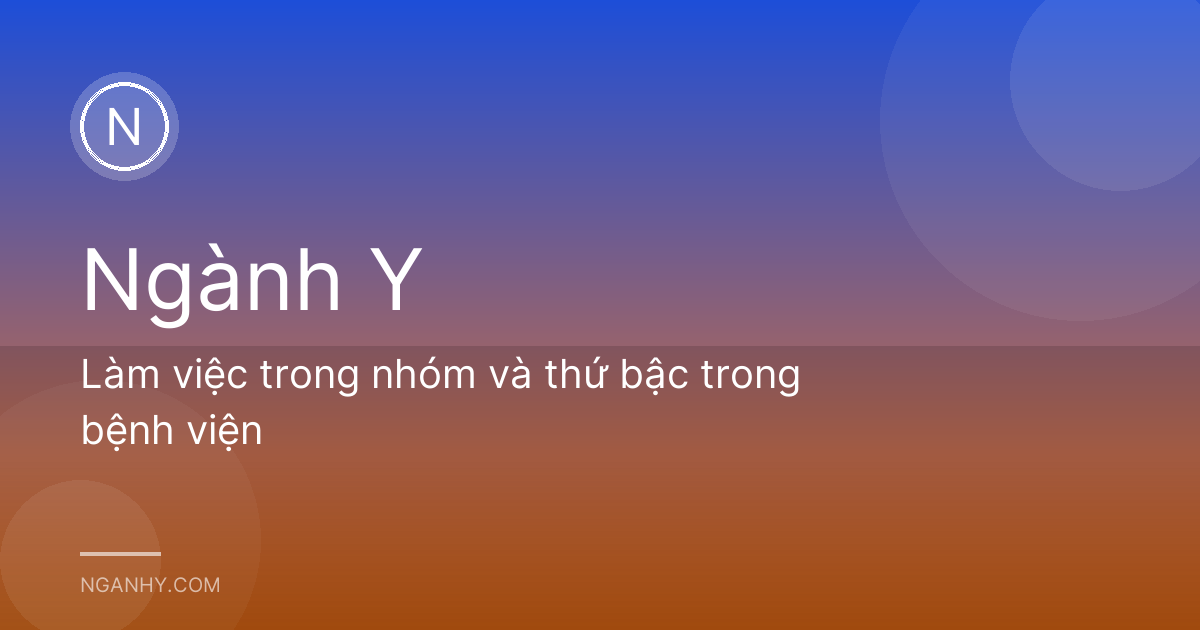Làm việc trong nhóm và thứ bậc trong bệnh viện